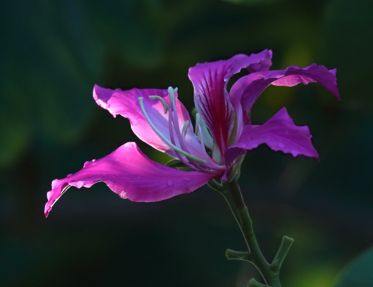 2018 09 07 HTP 04510